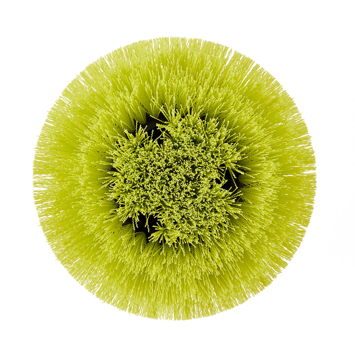 MEDIUM BRISTLE ROUND BRUSH image